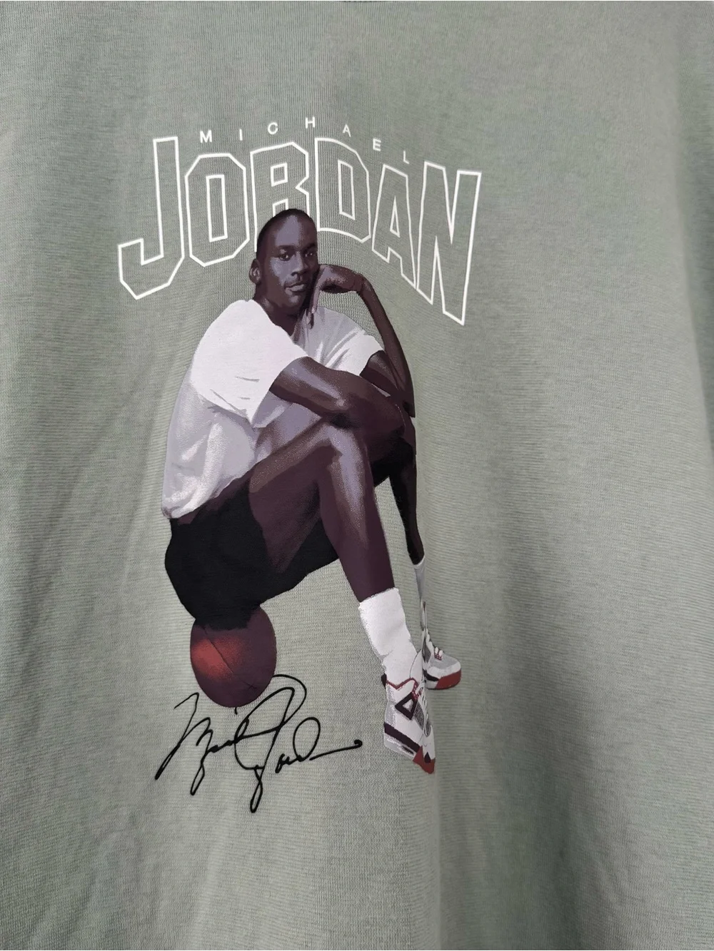 Nike Air Jordan Graphic T-Shirt Mens L Sage Green Michael Jordan Photo Print